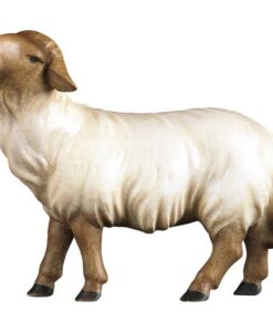 900128 Schaf geradeaus schauend Kopf dunkel