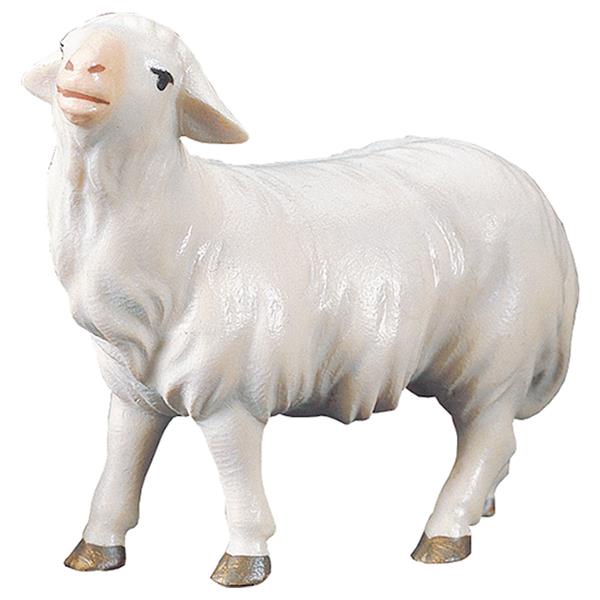 produktbild-komet-krippe-schaf-geradeaus-schauend