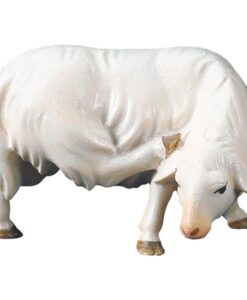 900133 Schaf kratzend