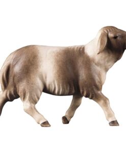 900129 Schaf laufend fleckig